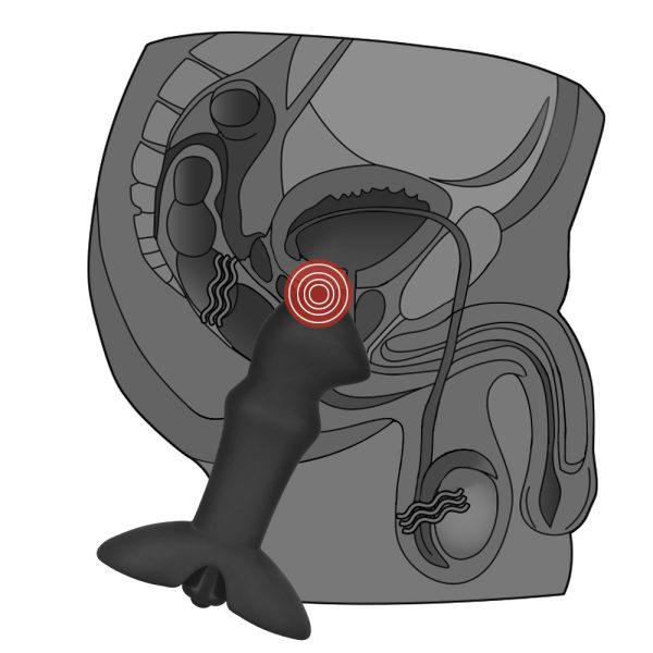 Vibrador Prostático Indulgence - Imagen 3