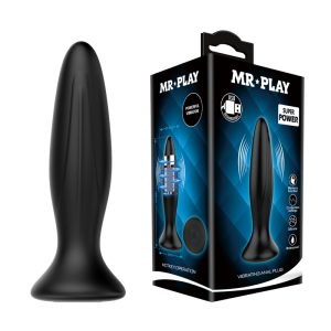 Plug Anal con Vibración de 13cm